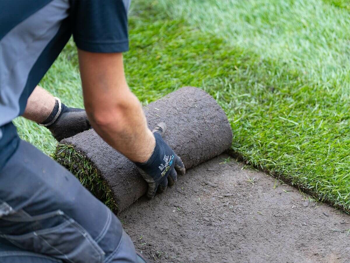 Step-by-step plan for laying turf