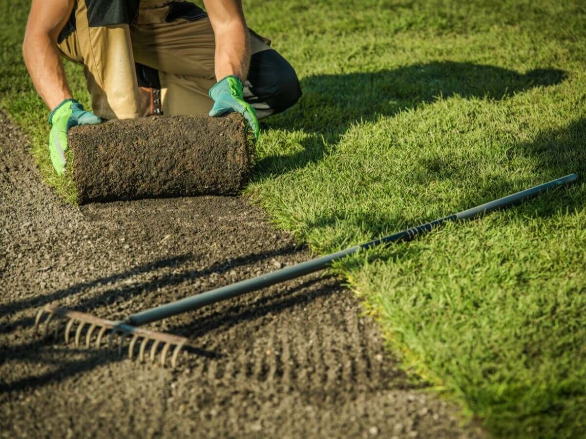 Step-by-step plan for laying turf